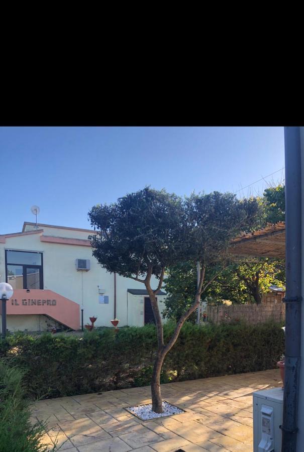 Il Ginepro Hotel Valledoria  Eksteriør billede